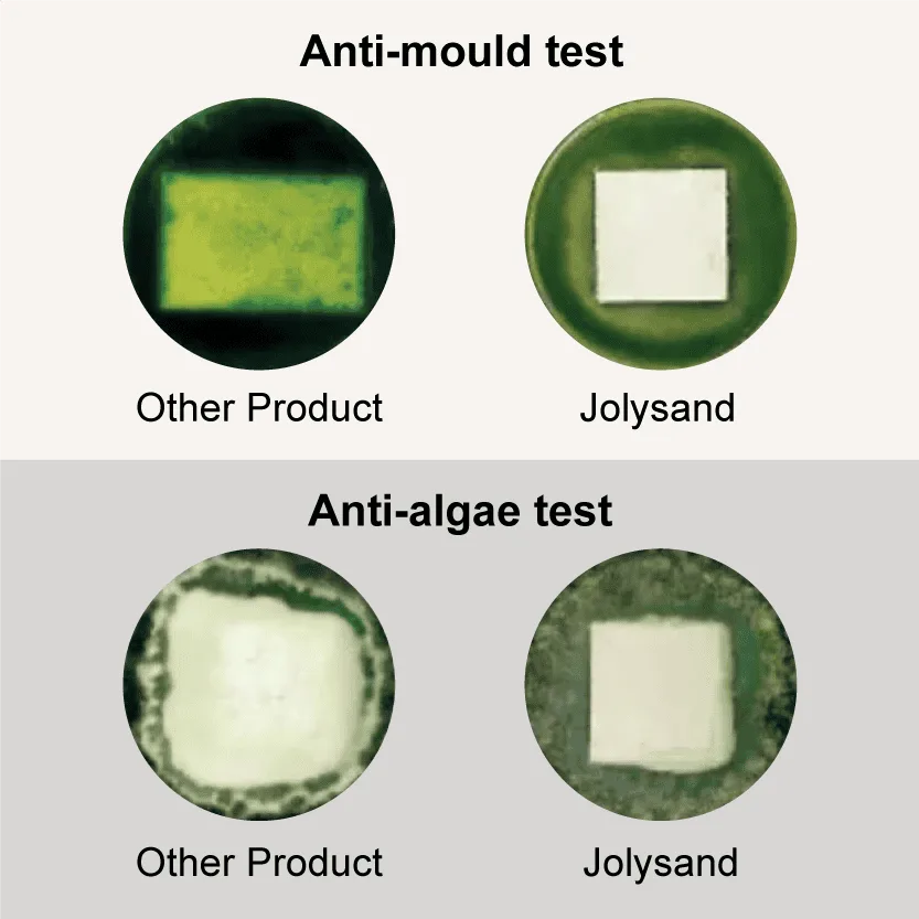 Jolysand mould and algae resistant wall coating test